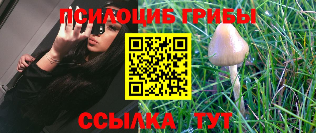 наркотики  Галлюциногенные грибы Magic Shrooms  Вход с VPN  Кисловодск 