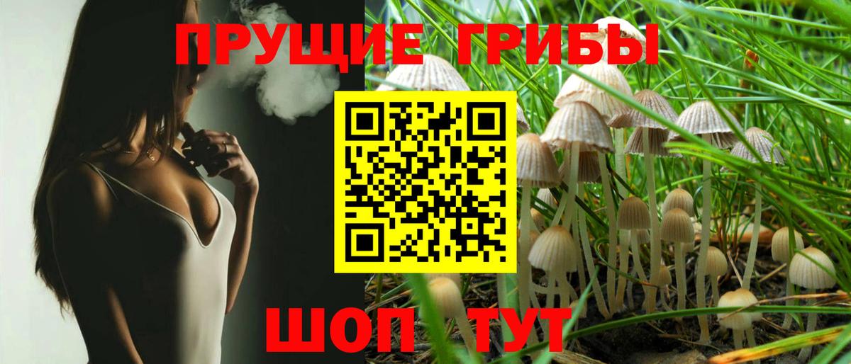 Псилоцибиновые грибы Magic Shrooms Кисловодск
